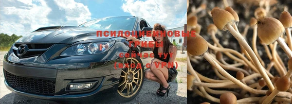 стаф Зерноград