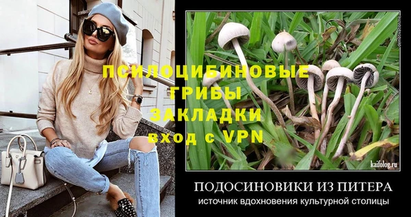 стаф Зерноград