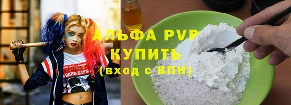 стаф Зерноград