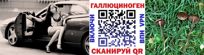KRAKEN как зайти  сколько стоит  нарко площадка состав  Псилоцибиновые грибы прущие грибы  Камешково 